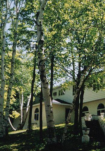 White Birch Inn Sturgeon Bay Exterior foto